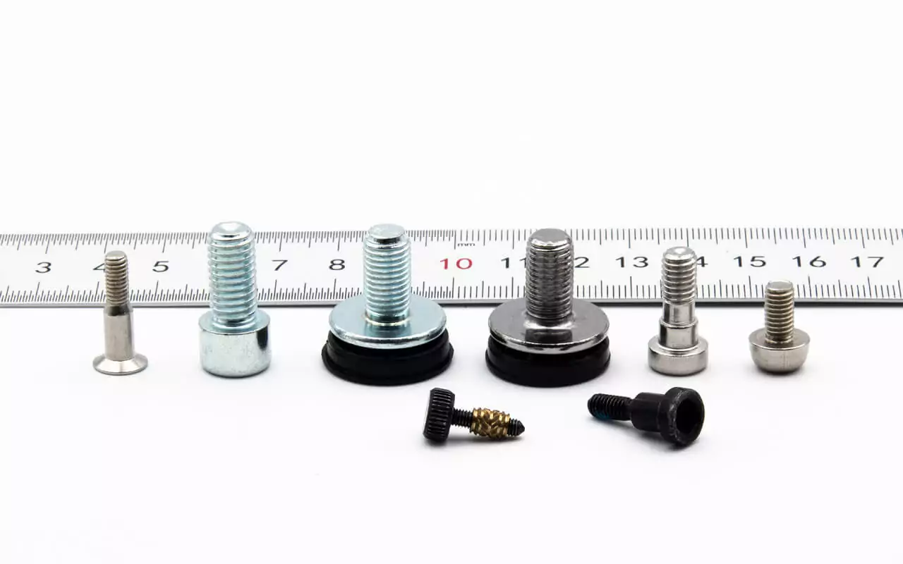 Bicycle Screws-1